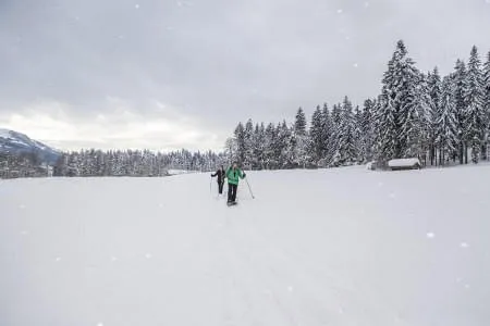 Winterwandern Winterwandern